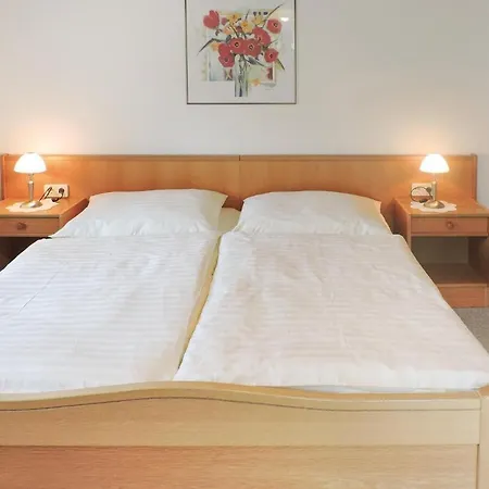 Two-bedroom In Apartamento Mühlbach am Hochkönig